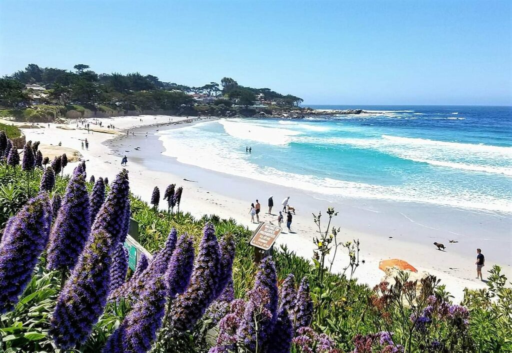 Best pet-friendly beach - carmel beach, california