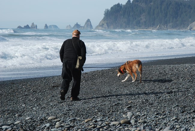 Dog and owner at a rocky beach